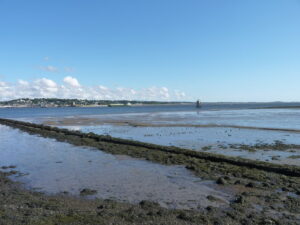 NO4629 : Low water at Larick Scalp