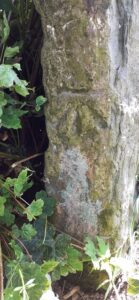 SD5896 : Benchmark on gatepost at field gateway on west side of road south of Grayrigg