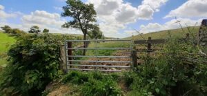 SD5896 : Field gateway on west side of road between Hairdrigg and Grayrigg