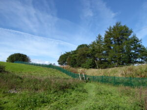 SD5896 : Path from Hardrigg to Beck Houses