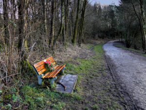 SD7314 : A Place to Pause, Jumbles Country Park