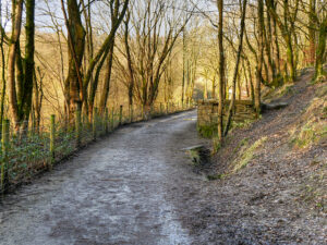 SD7314 : Jumbles Country Park, Rotary Way