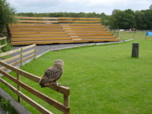 SJ5970 : Cheshire Waterlife, Bird of Prey Centre, Sandiway
