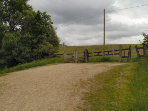 SJ9898 : Stalybridge Country Park (Brushes)