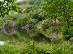 SJ9998 : Walkerwood Reservoir