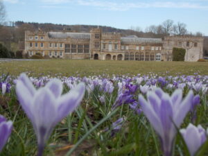 ST3505 : Forde Abbey: view of the house across the large lawn