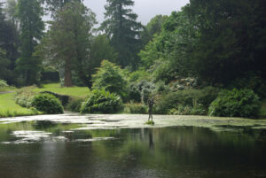 ST3505 : Mermaid Pond, Forde Abbey