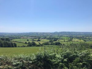 ST4100 : View from the Pilsdon Pen car park