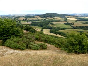 ST4101 : View east from Pilsdon Pen
