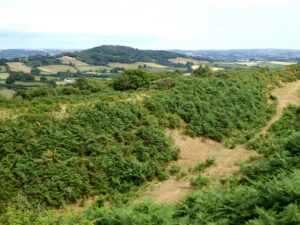 ST4101 : View east from Pilsdon Pen