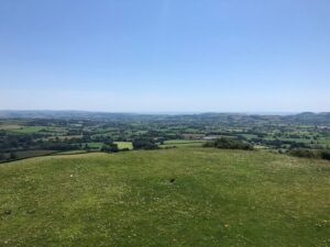 ST4101 : View from Pilsdon Pen viewpoint
