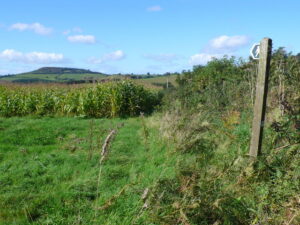 ST4300 : Footpath near Four Ashes
