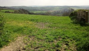 ST4703 : Towards Beaminster