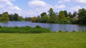 ST6416 : Sherborne New Castle [9]