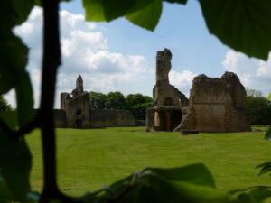 ST6416 : Sherborne: Old Castle ruins from behind a tree