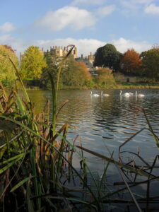 ST6416 : Sherborne castle in late autumn