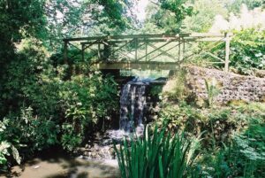 ST6603 : Minterne Gardens: waterfall and footbridge