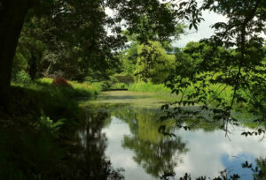 ST6603 : Park Bridge, Minterne Gardens