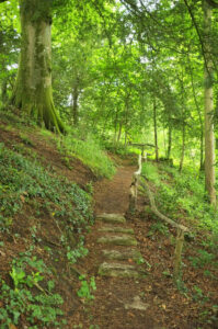 ST6603 : Path, Minterne Gardens