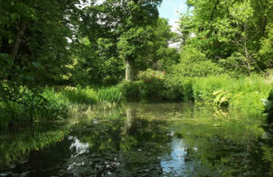 ST6603 : Pond, Minterne Gardens