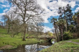 ST6604 : Minterne Gardens