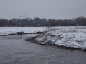 ST8214 : Hammoon: along the Stour towards Hambledon Hill