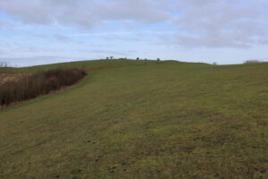 ST8411 : Climbing the Southern Flanks of Hambledon Hill