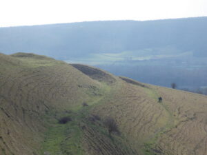 ST8412 : Child Okeford: three walkers on Hambledon Hill
