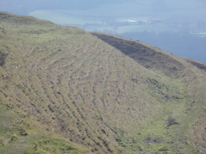 ST8412 : Child Okeford: west side of Hambledon Hill