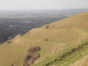 ST8412 : Child Okeford: western slopes of Hambledon Hill