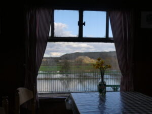 ST8412 : Hambledon Hill From Shillingstone Station