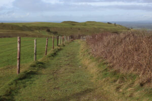 ST8412 : Pathway on Hambledon Hill