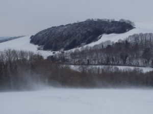 ST8511 : Hanford: from Hod Hill towards Hambledon Hill