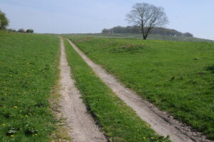 ST9502 : Bridleway to Badbury Rings