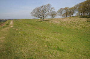 ST9602 : Badbury Rings