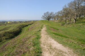 ST9602 : Earthworks, Badbury Rings