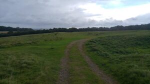 ST9603 : Ackling Dyke meets the Devil's Footprint near Badbury Rings hill fort