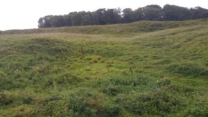 ST9603 : Ramparts and ditches at Badbury Rings