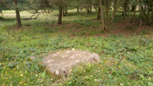 ST9603 : Wartime concrete block at Badbury Rings hill fort