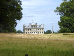 ST9700 : Grassland north of "The Belt" woodland, Kingston Lacy