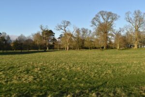 ST9801 : Parkland, Kingston Lacy