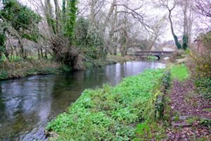 SU0000 : River Allen and Walford Bridge, Wimborne