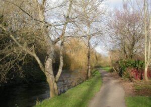 SU0100 : Wimborne, riverside walk