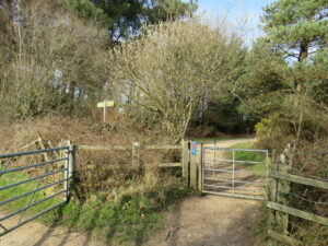 SU0400 : Castleman Trailway near Wimborne