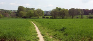 SU0413 : Towards Cranborne Manor House