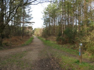 SU0501 : Castleman Trailway near Ferndown