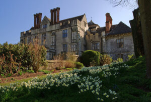 SU0513 : Cranborne Manor