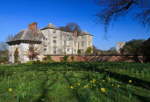 SU0513 : Cranborne Manor - house and church