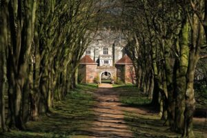 SU0513 : Cranborne Manor through avenue of Beech