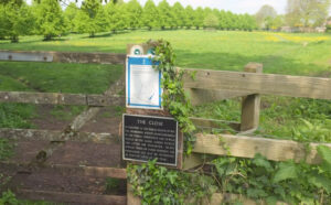 SU0513 : The Close, Cranborne